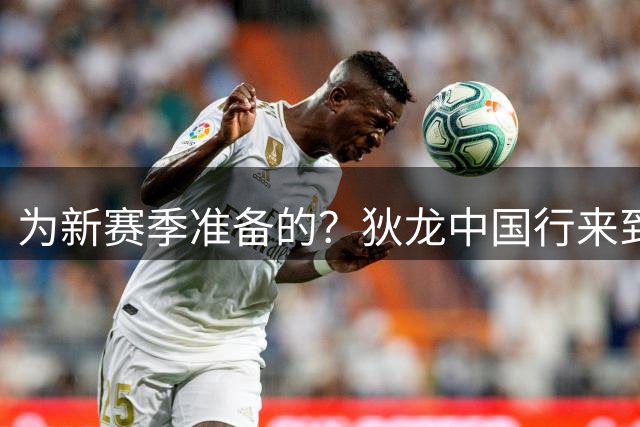 为新赛季准备的？狄龙中国行来到八角笼内 和李景亮学习拳击